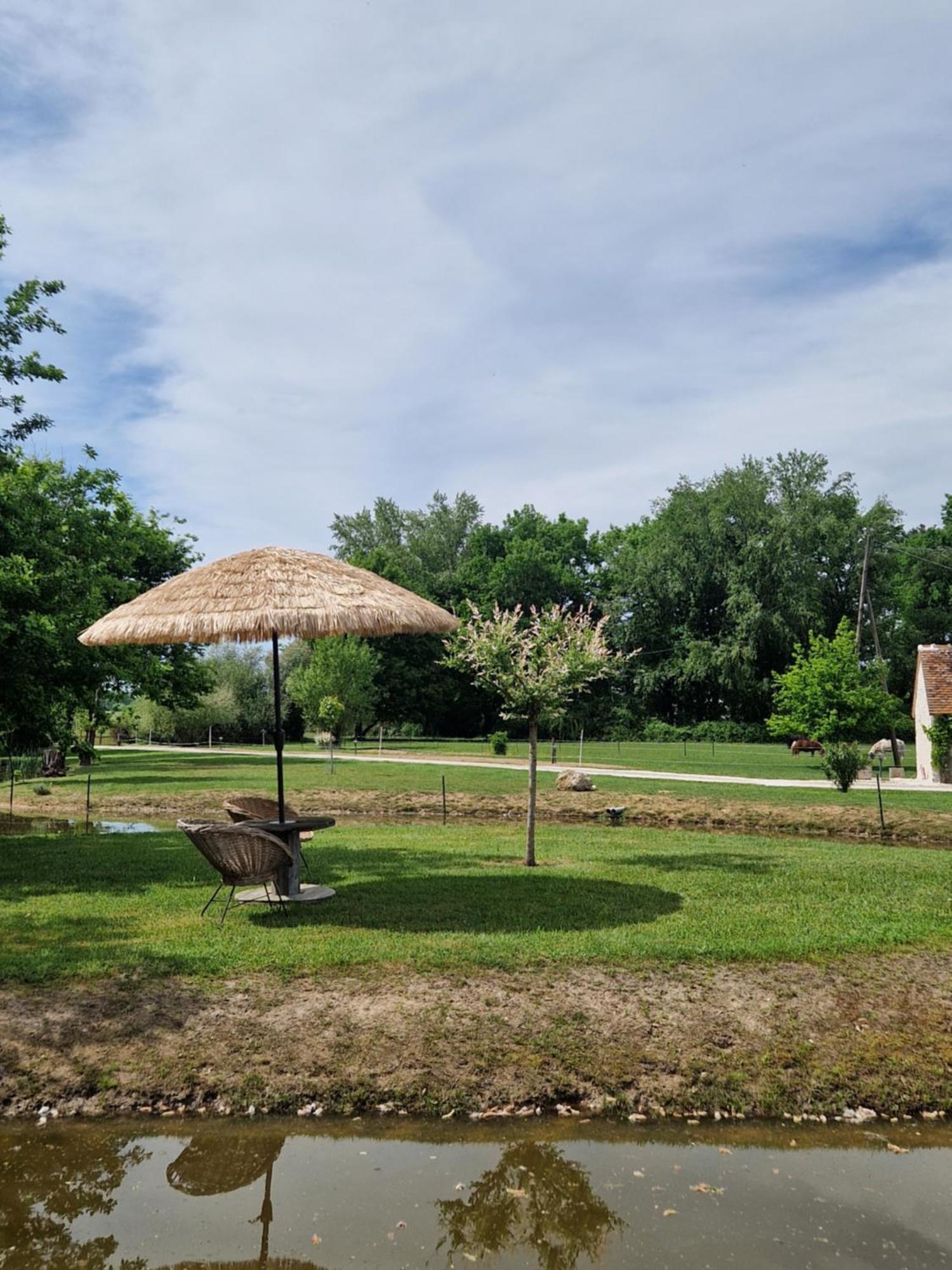 Maison De Campagne Soings-en-Sologne ภายนอก รูปภาพ